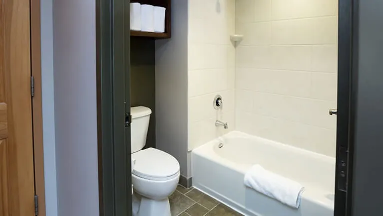 The bathroom in the Queen Sofa Suite (Standard)